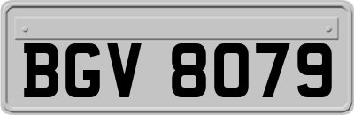 BGV8079