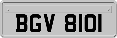 BGV8101