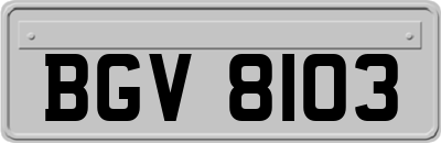 BGV8103