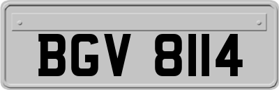 BGV8114