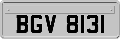 BGV8131