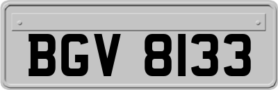 BGV8133