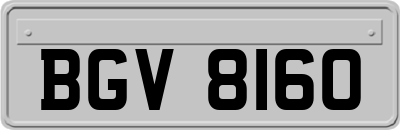 BGV8160
