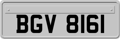 BGV8161