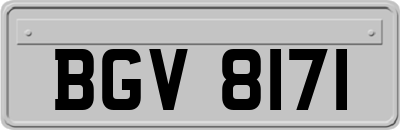 BGV8171
