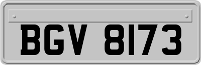 BGV8173