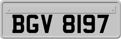BGV8197
