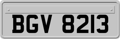 BGV8213