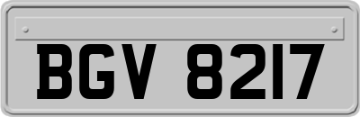 BGV8217