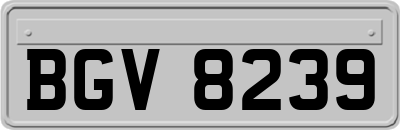 BGV8239