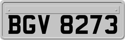 BGV8273