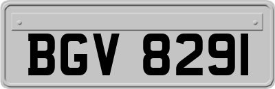 BGV8291