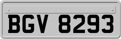 BGV8293