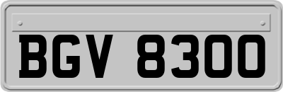 BGV8300