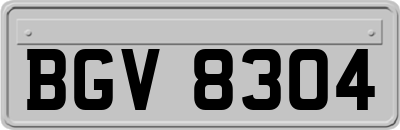 BGV8304