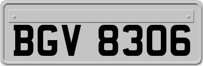 BGV8306