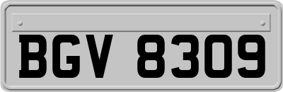 BGV8309