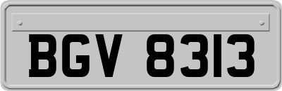 BGV8313