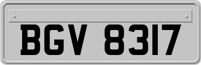 BGV8317