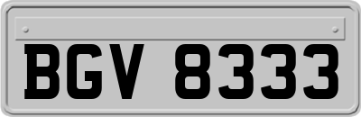 BGV8333