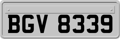 BGV8339