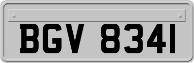 BGV8341