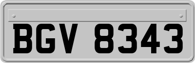 BGV8343