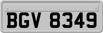 BGV8349