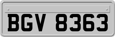BGV8363