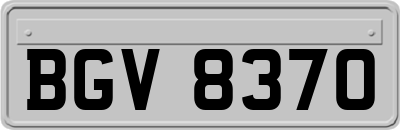BGV8370