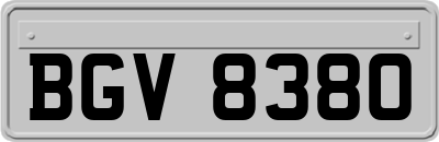 BGV8380