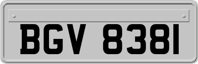 BGV8381