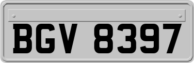 BGV8397