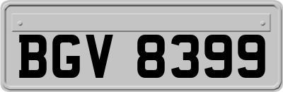 BGV8399
