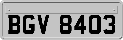 BGV8403
