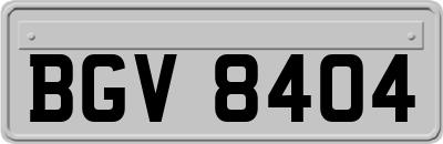 BGV8404
