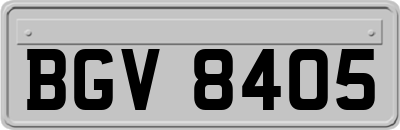 BGV8405