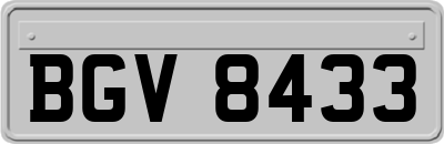 BGV8433