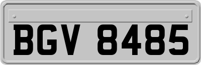 BGV8485