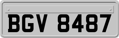BGV8487