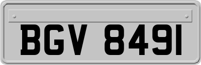 BGV8491