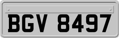 BGV8497