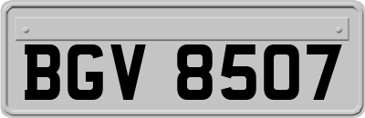 BGV8507