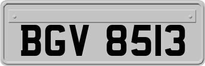 BGV8513