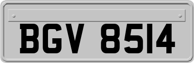 BGV8514