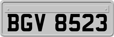 BGV8523