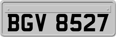 BGV8527