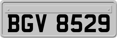 BGV8529