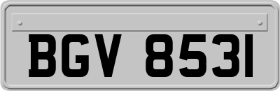BGV8531