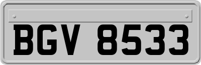 BGV8533